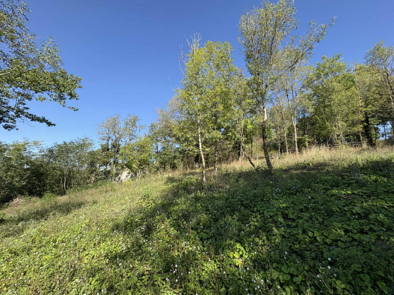 à vendre Terrain diffus (hors lotissement) Le Menoux - Photo 5