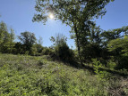 à vendre Terrain diffus (hors lotissement) Le Menoux