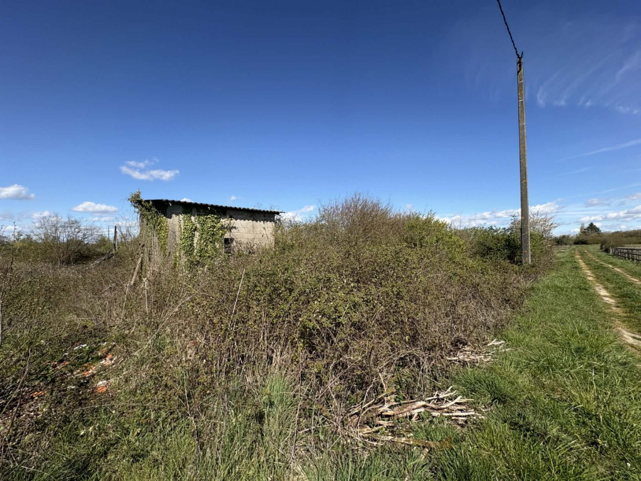 à vendre Terrain agricole Deols - Photo 2