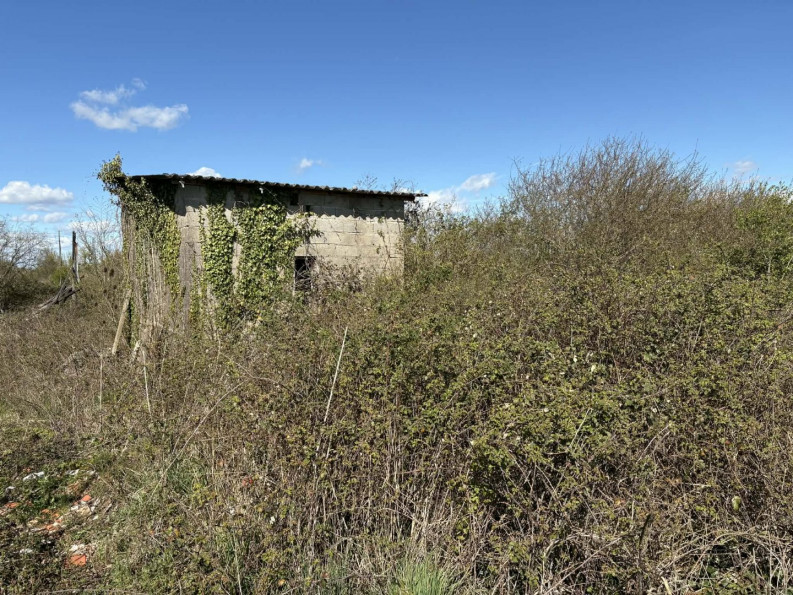 vente Terrain agricole Deols - Photo 7