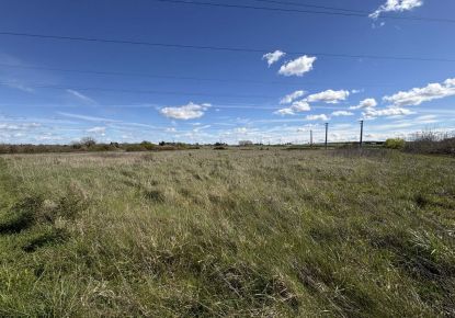 vente Terrain agricole Deols