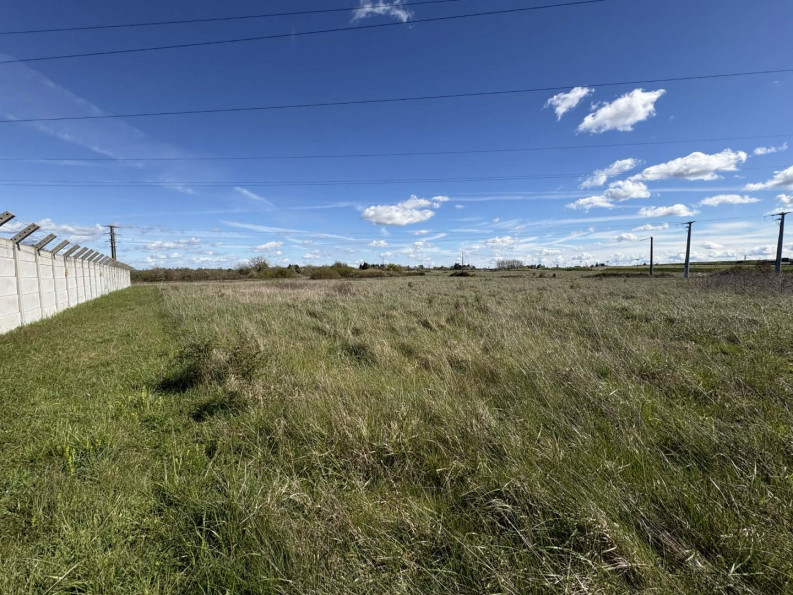 vente Terrain agricole Deols - Photo 5