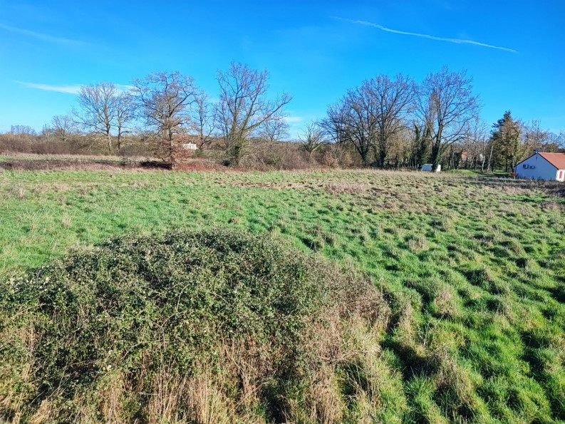 vente Terrain constructible Saint Amand Montrond - Photo 4