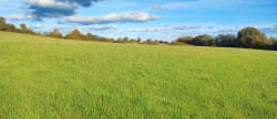 vente Terrain agricole Saint Amand Montrond