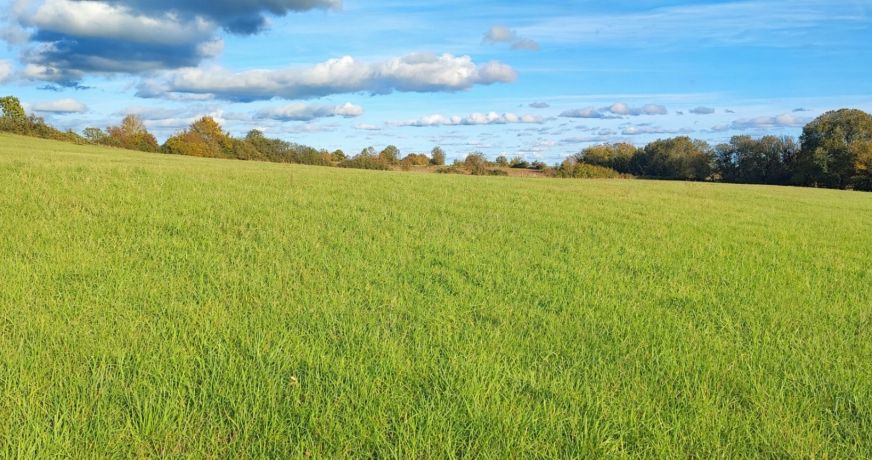 vente Terrain agricole Saint Amand Montrond