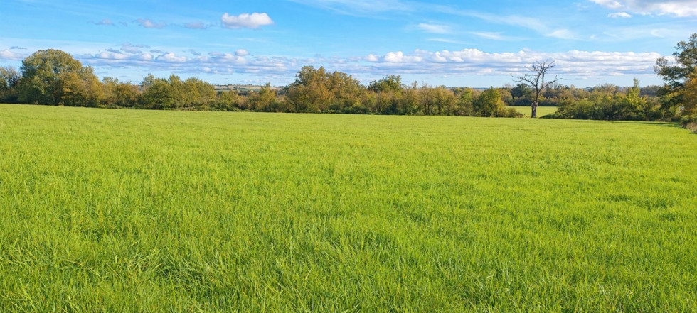vente Terrain agricole Saint Amand Montrond - Photo 3