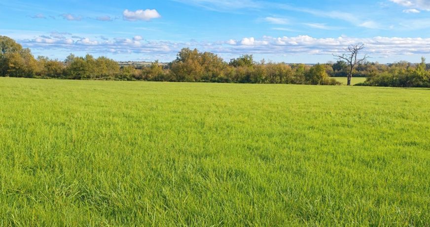 vente Terrain agricole Saint Amand Montrond
