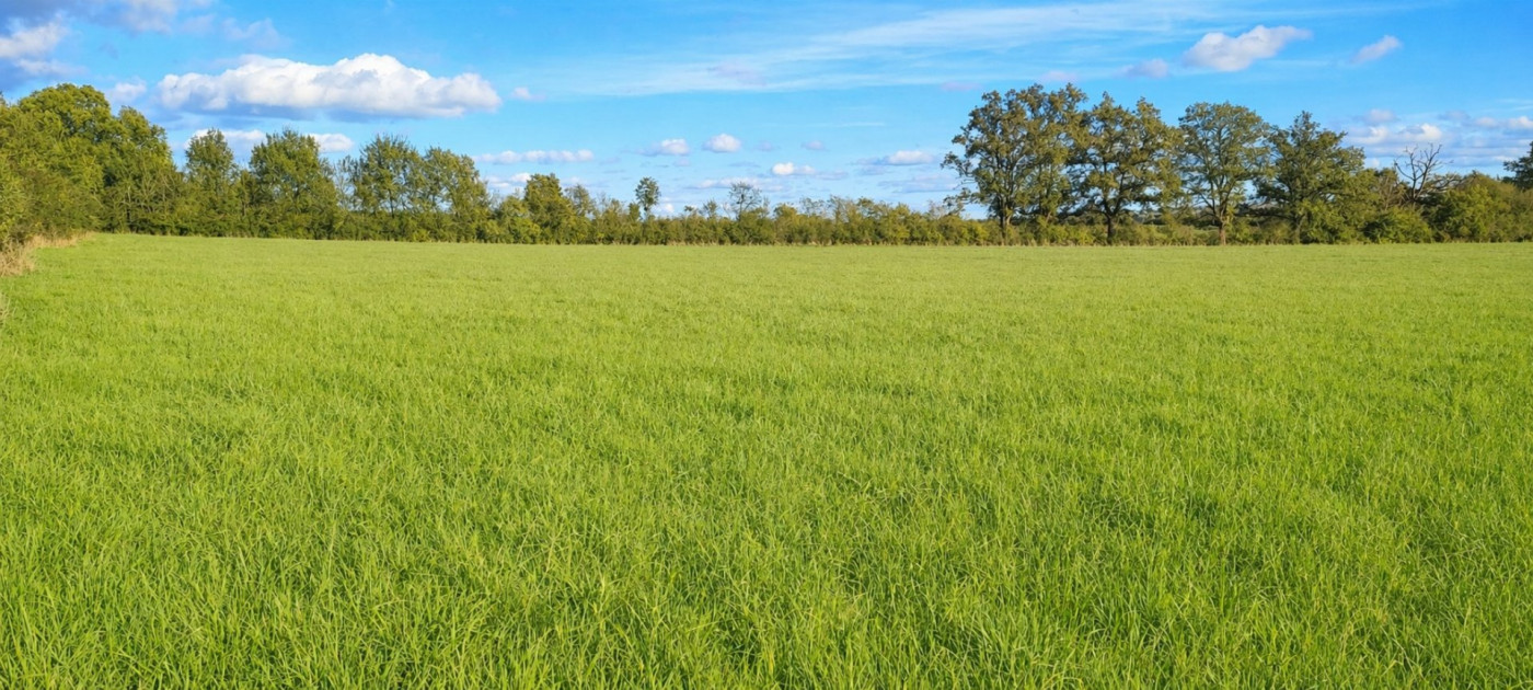 à vendre Terrain agricole Saint Amand Montrond - Photo 4