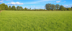 vente Terrain agricole Saint Amand Montrond
