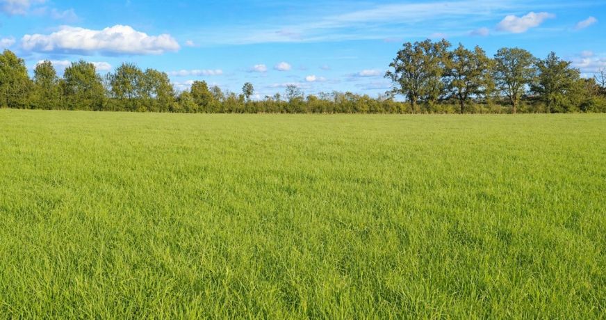 vente Terrain agricole Saint Amand Montrond