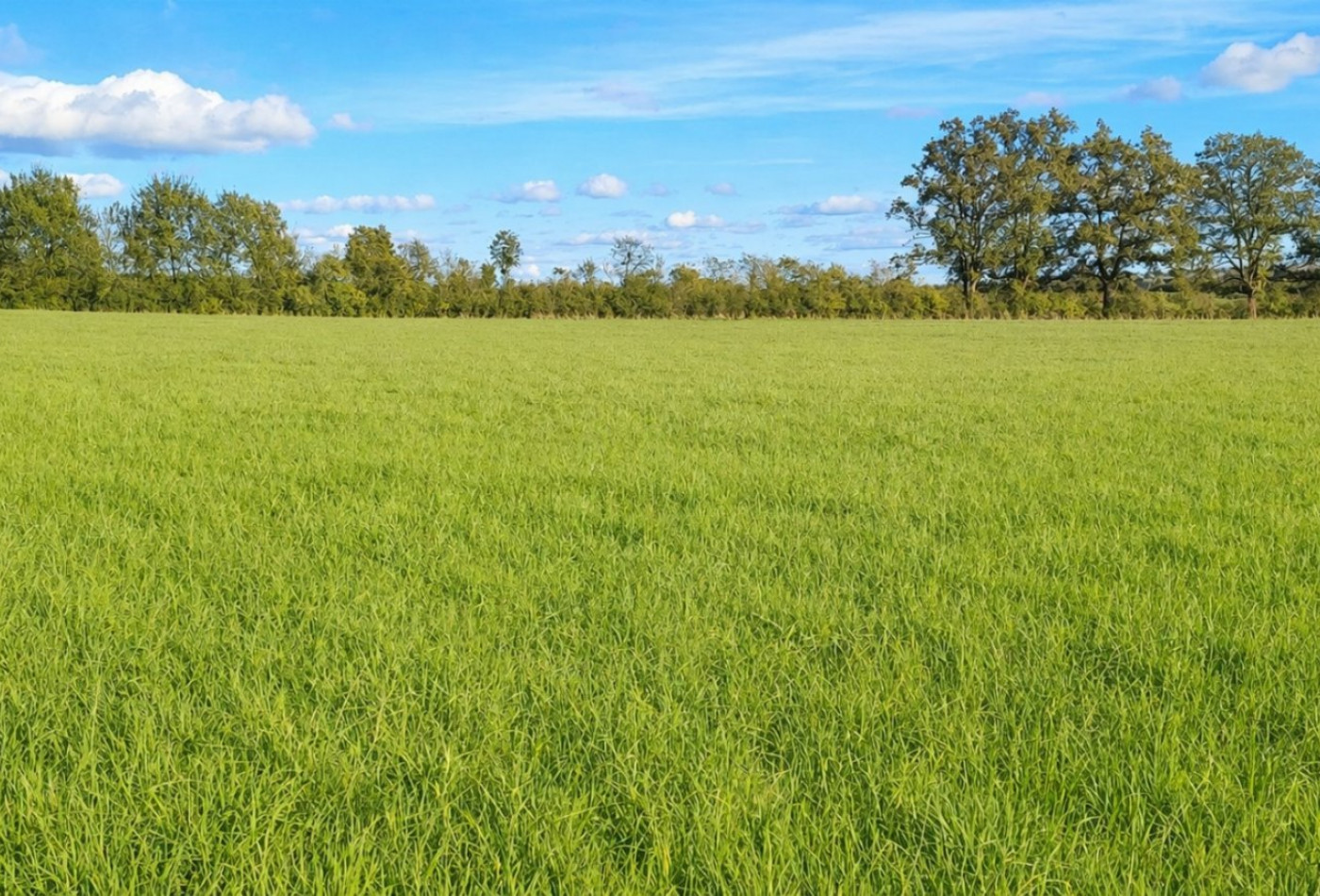 vente Terrain agricole Saint Amand Montrond - Photo 4