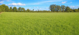 vente Terrain agricole Saint Amand Montrond