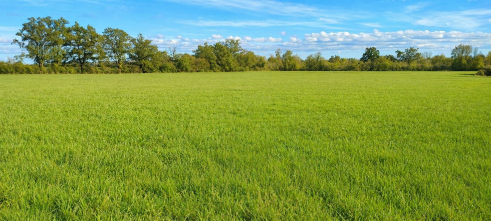 vente Terrain agricole Saint Amand Montrond - Photo 1