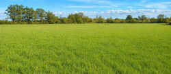 vente Terrain agricole Saint Amand Montrond