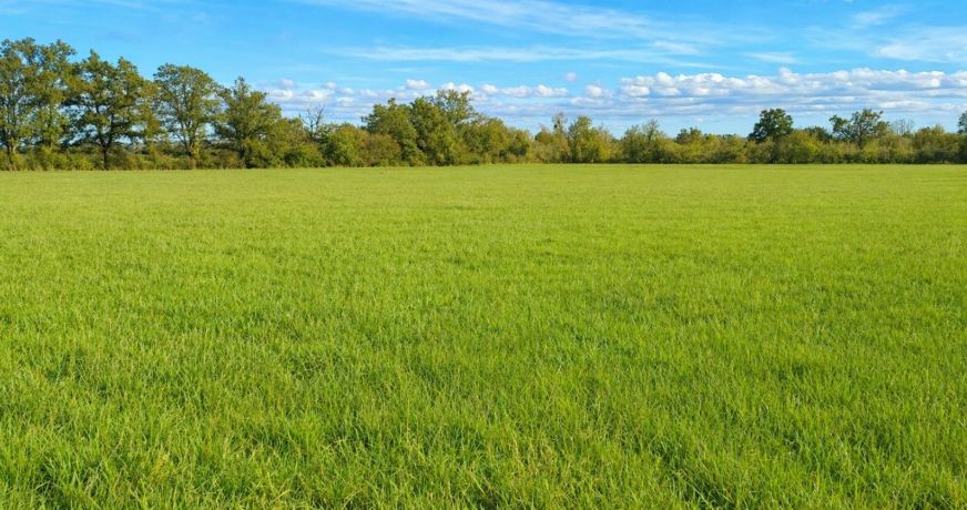 vente Terrain agricole Saint Amand Montrond