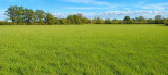vente Terrain agricole Saint Amand Montrond