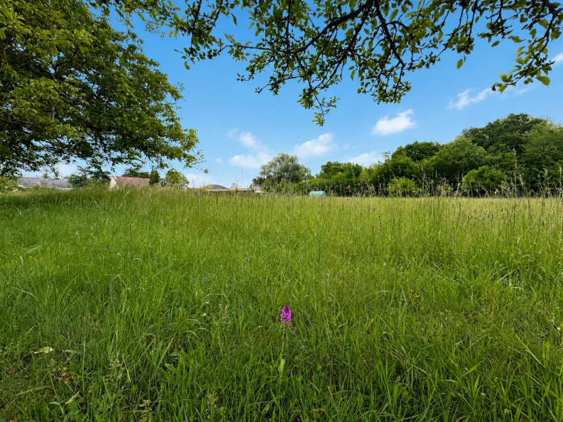 vente Terrain diffus (hors lotissement) Saint Maur - Photo 2