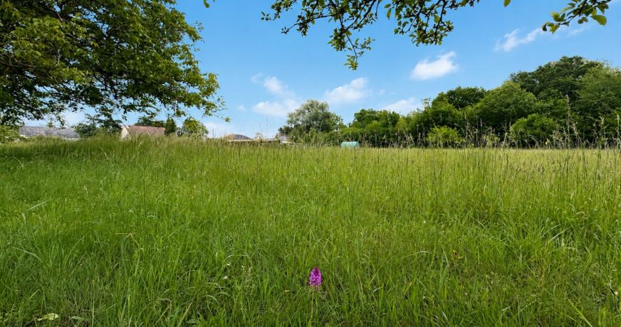 vente Terrain diffus (hors lotissement) Saint Maur