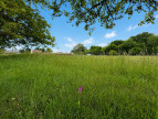 vente Terrain diffus (hors lotissement) Saint Maur
