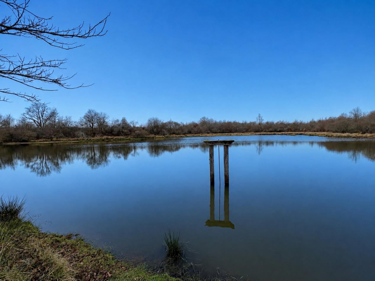 à vendre Etang Chateauroux - Photo 3