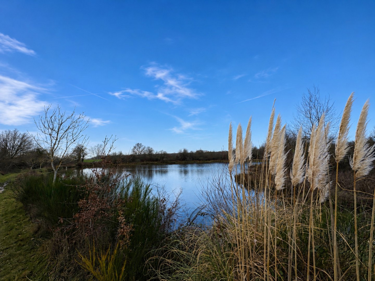 à vendre Etang Chateauroux - Photo 1