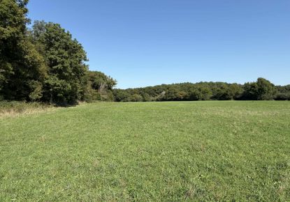 vente Terrain agricole Chateauroux
