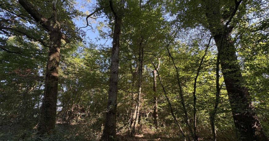 vente Terrain agricole Chateauroux