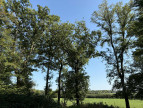 à vendre Terrain agricole Chateauroux