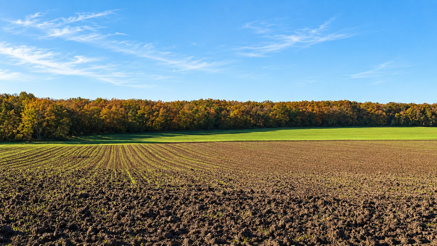 à vendre Terrain agricole Jeu Les Bois - Photo 1