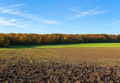vente Terrain agricole Jeu Les Bois