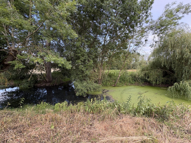 vente Terrain diffus (hors lotissement) Deols - Photo 4