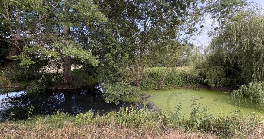 vente Terrain diffus (hors lotissement) Deols