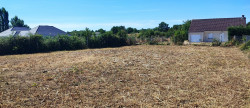 vente Terrain commercial Mehun Sur Yevre