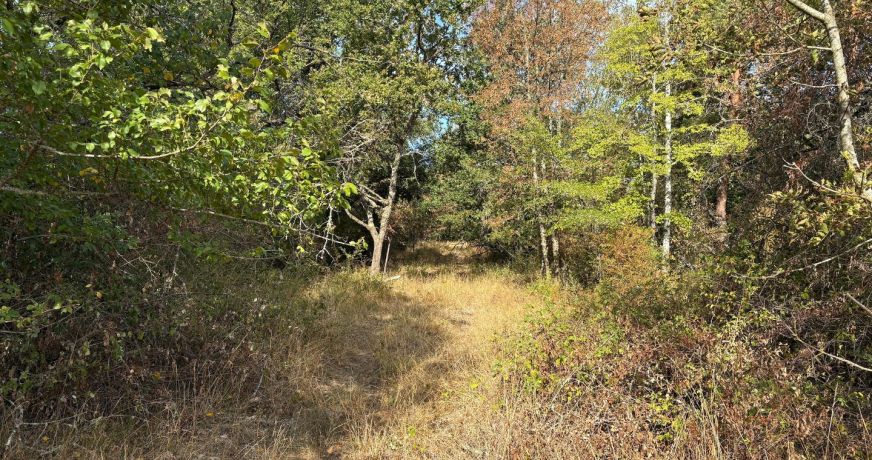 vente Terrain agricole Neuillay Les Bois