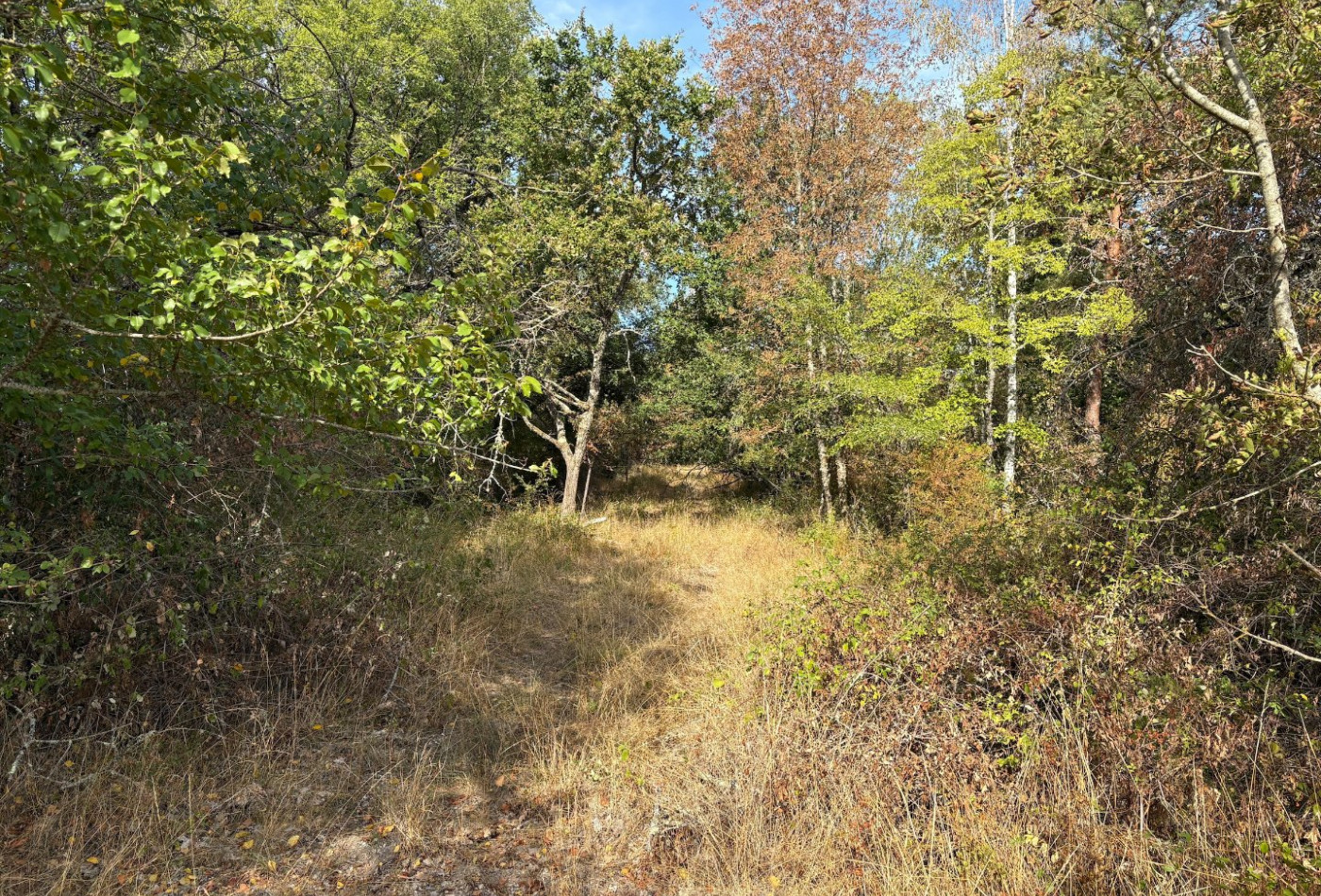 vente Terrain agricole Neuillay Les Bois - Photo 4