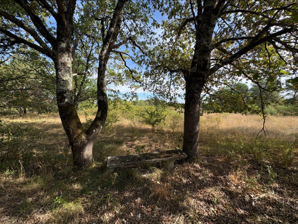 à vendre Terrain agricole Neuillay Les Bois - Photo 5
