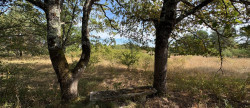 vente Terrain agricole Neuillay Les Bois