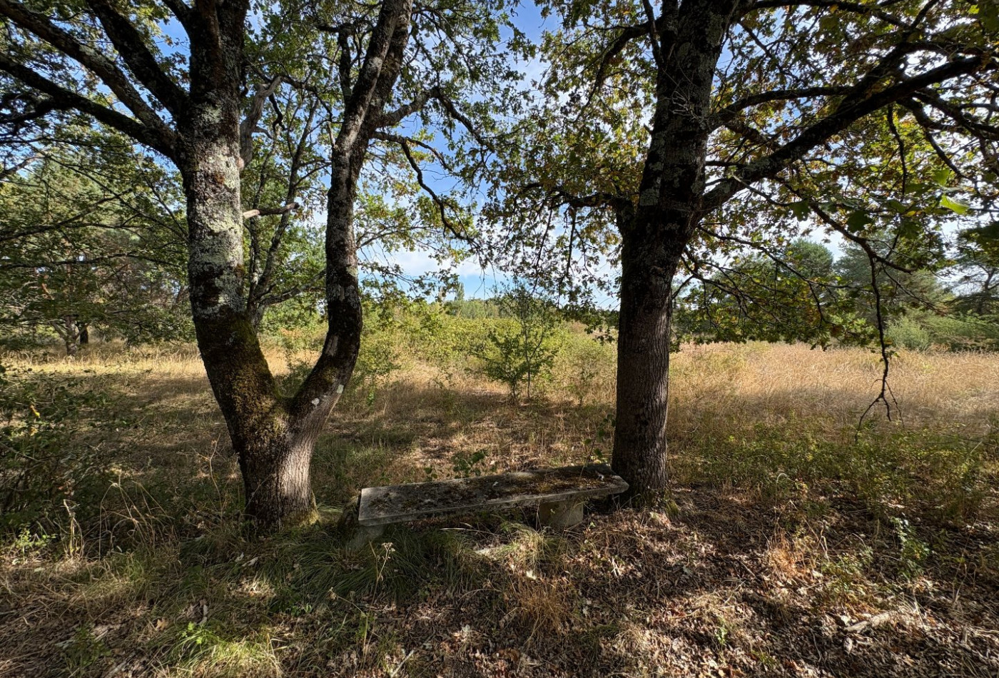 vente Terrain agricole Neuillay Les Bois - Photo 5