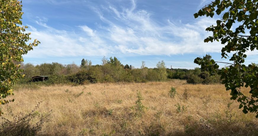 vente Terrain agricole Neuillay Les Bois