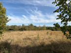 à vendre Terrain agricole Neuillay Les Bois