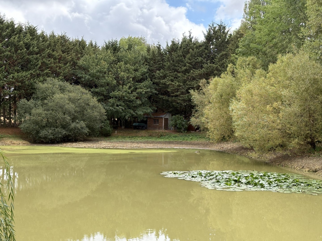 à vendre Etang Bouesse - Photo 4