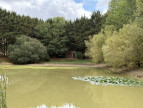 à vendre Etang Bouesse