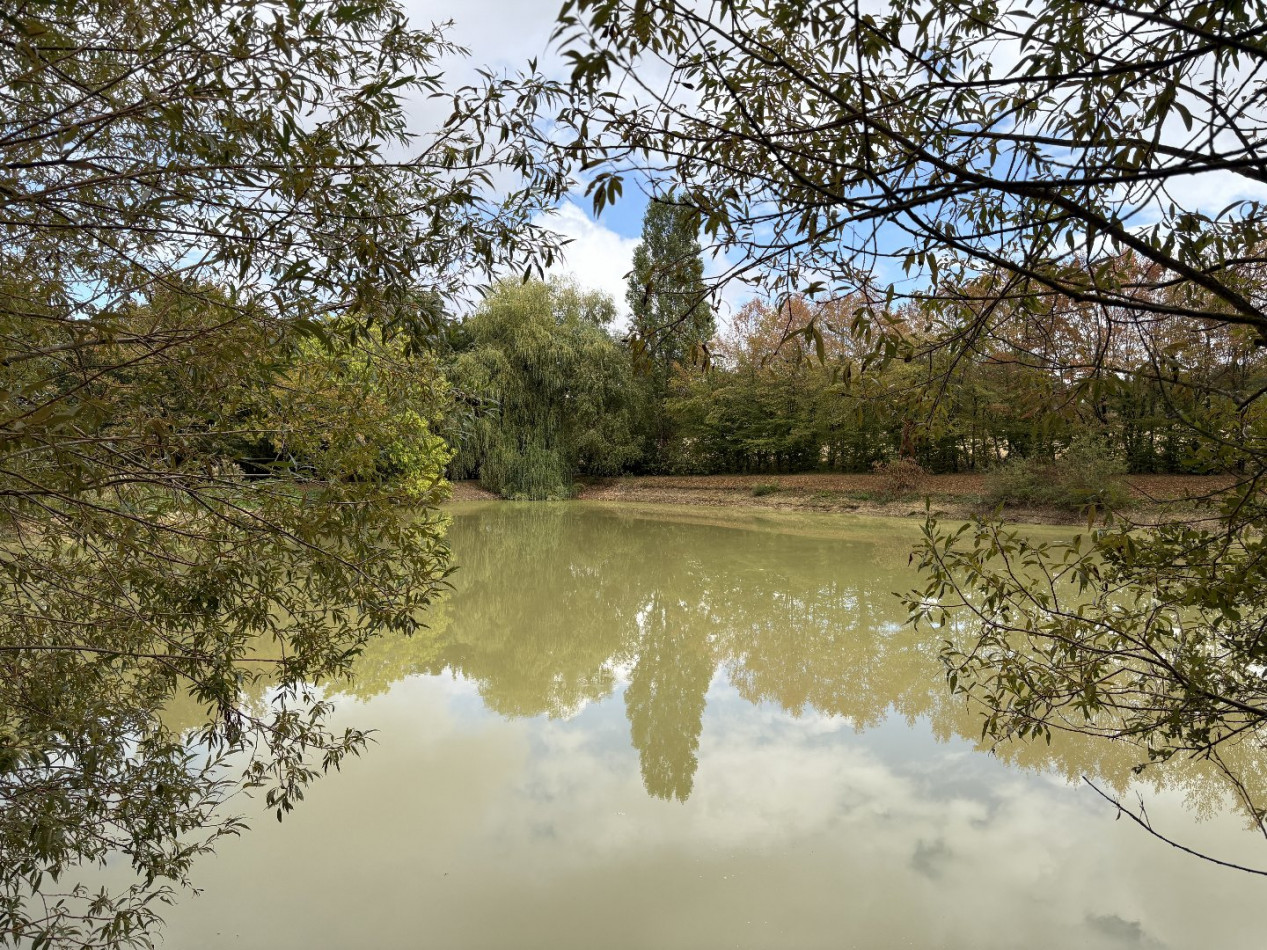 à vendre Etang Bouesse - Photo 3