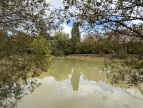 à vendre Etang Bouesse