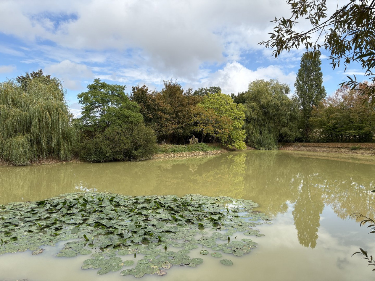 à vendre Etang Bouesse - Photo 1
