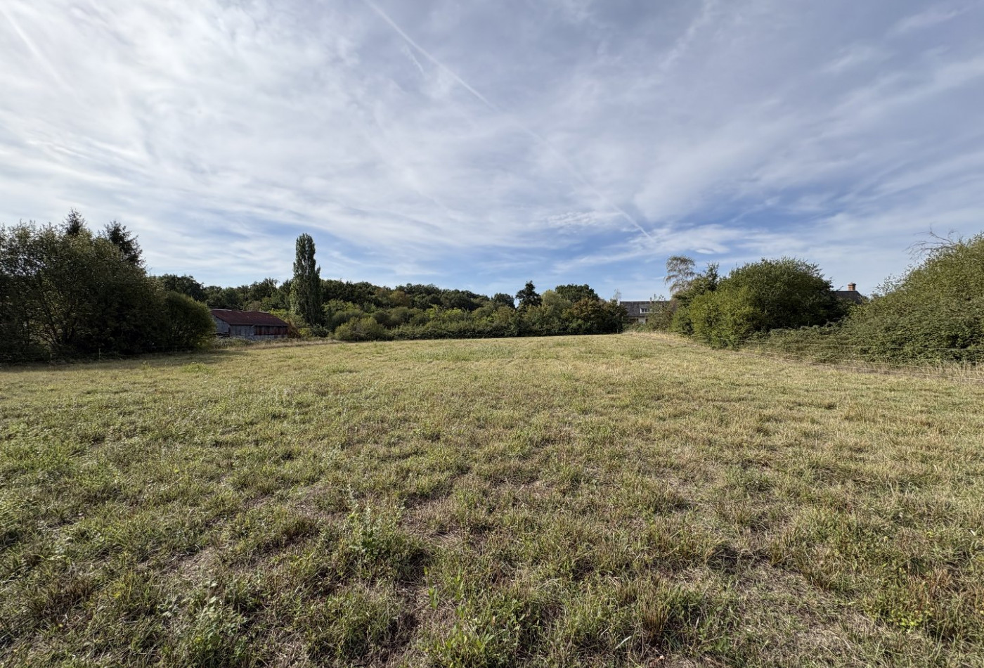 vente Terrain diffus (hors lotissement) Valencay - Photo 3