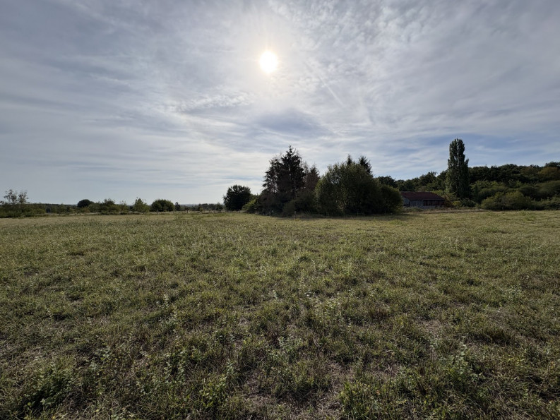 vente Terrain diffus (hors lotissement) Valencay - Photo 4