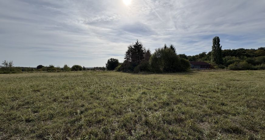 vente Terrain diffus (hors lotissement) Valencay