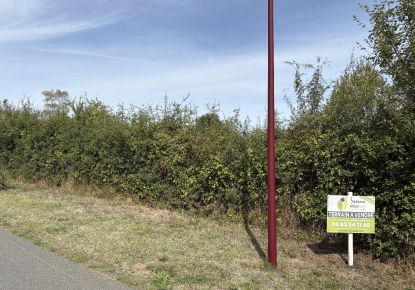 vente Terrain diffus (hors lotissement) Valencay