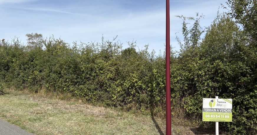 vente Terrain diffus (hors lotissement) Valencay
